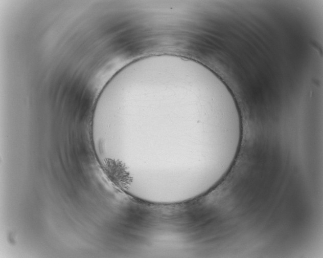 X0000103941340200810171806