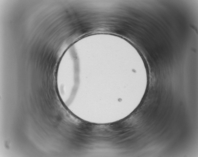 X0000103941341200810171806