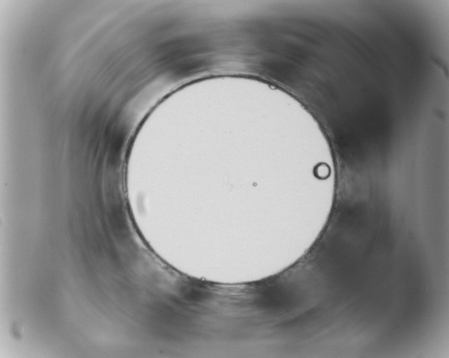 X0000103941342200810171806