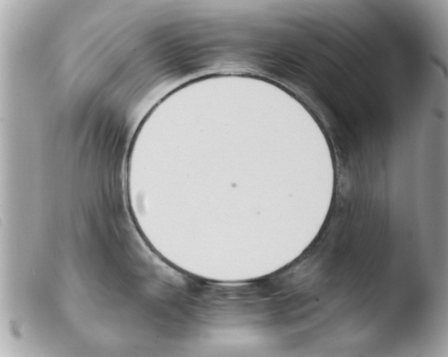 X0000103941343200810171806