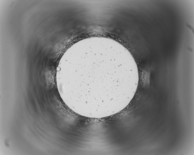 X0000103941348200810171805