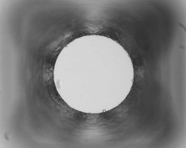 X0000103941349200810171805