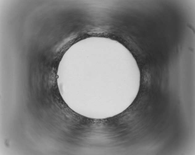 X0000103941350200810171805