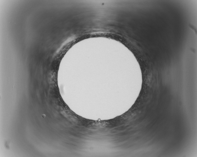 X0000103941351200810171805