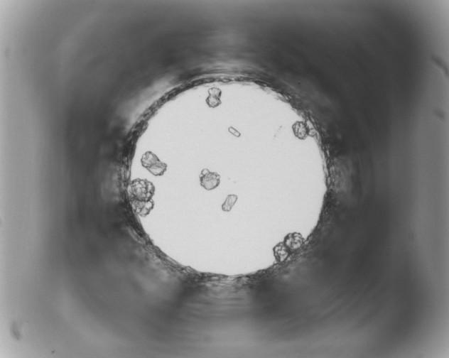 X0000103941352200810171805