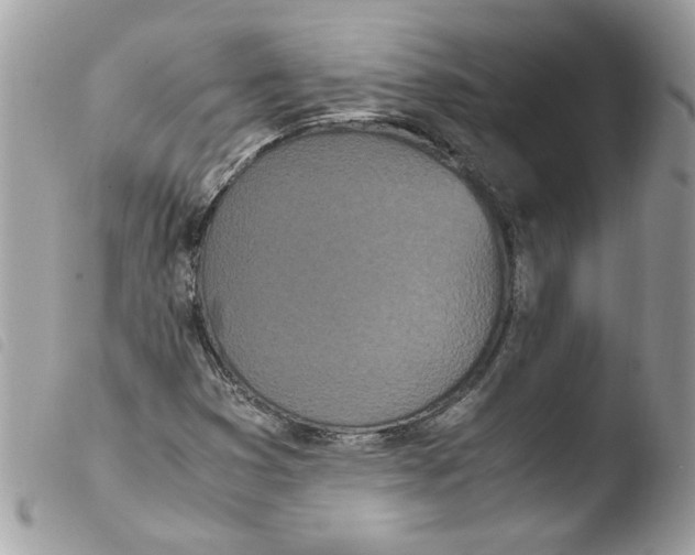 X0000103941353200810171805