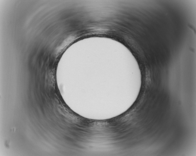 X0000103941354200810171805