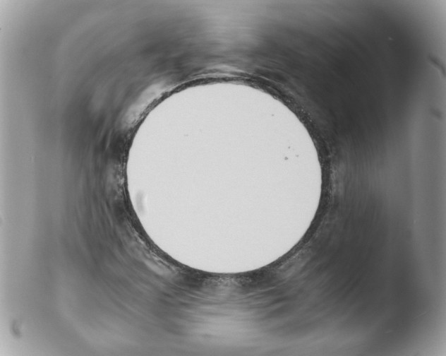 X0000103941355200810171805