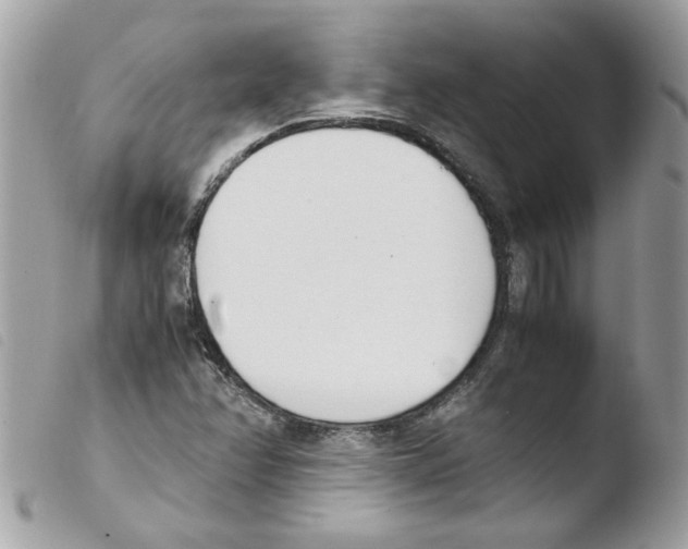 X0000103941358200810171805