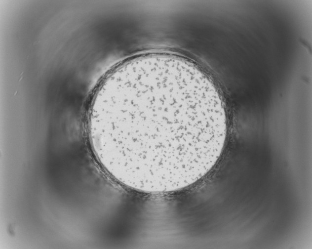 X0000103941360200810171805