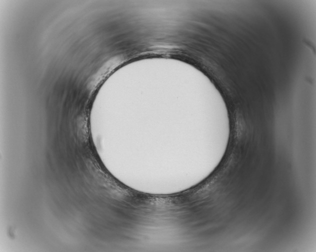 X0000103941362200810171805