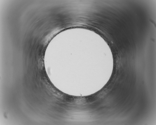 X0000103941363200810171805