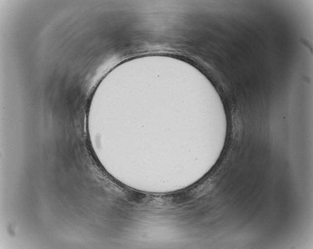 X0000103941365200810171805