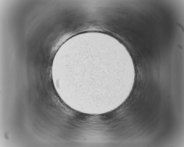 X0000103941367200810171805