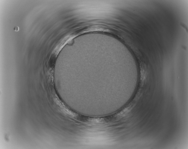 X0000103941369200810171805