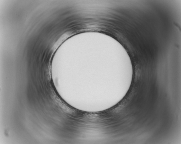 X0000103941370200810171805