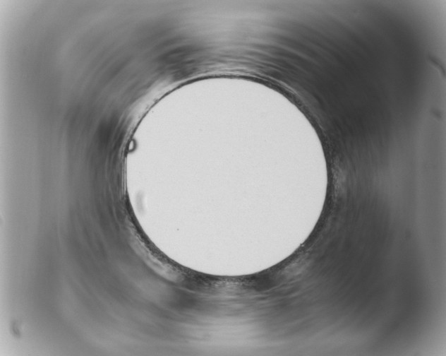 X0000103941371200810171805