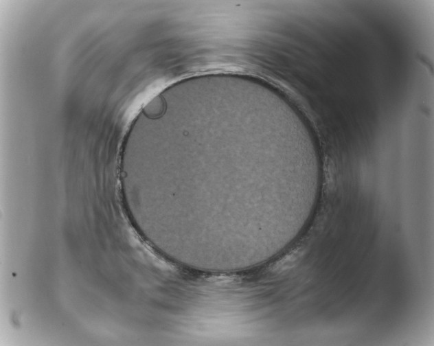 X0000103941373200810171805