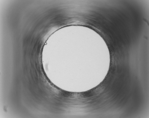 X0000103941375200810171805