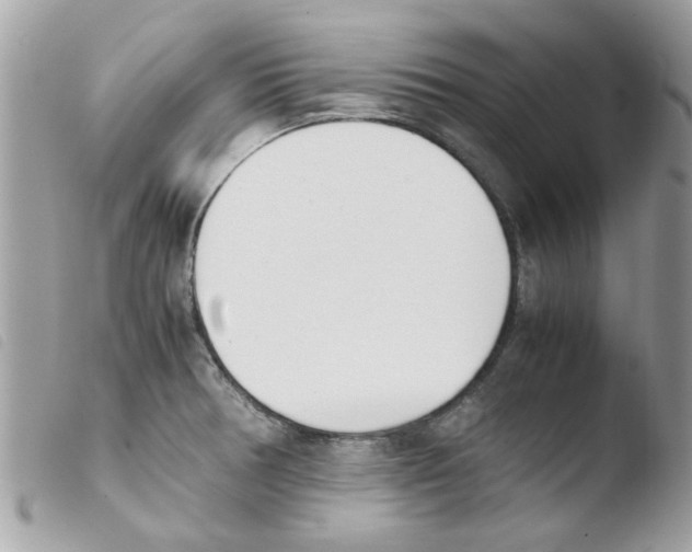 X0000103941378200810171805