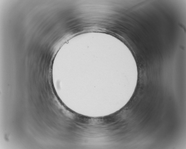 X0000103941379200810171805