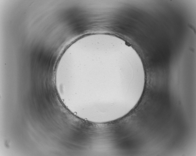 X0000103941380200810171805