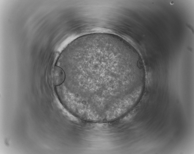 X0000103941381200810171805