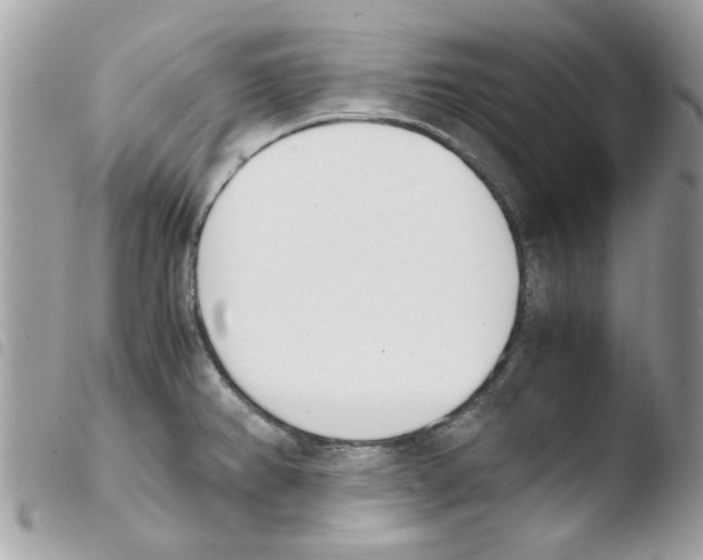 X0000103941382200810171805