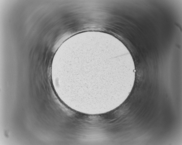 X0000103941383200810171805