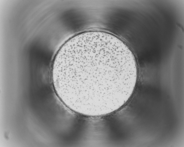 X0000103941384200810171805