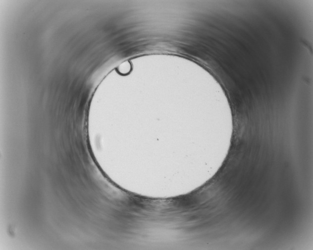 X0000103941387200810171805