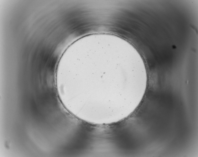 X0000103941388200810171805