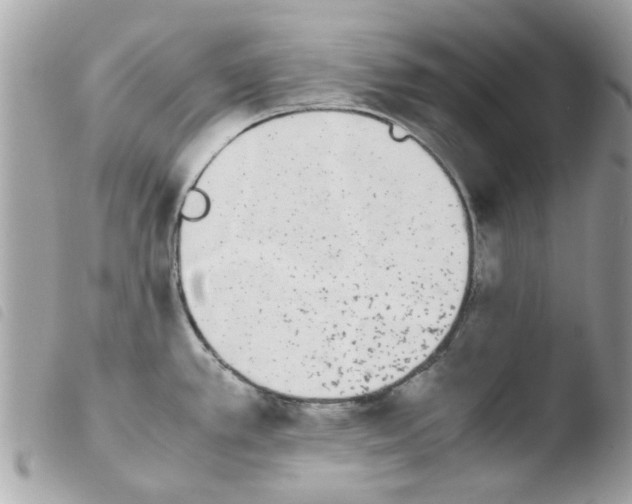 X0000103941389200810171805