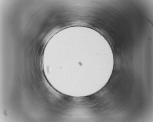 X0000103941391200810171805