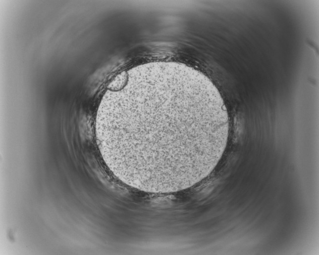 X0000103941394200810171804