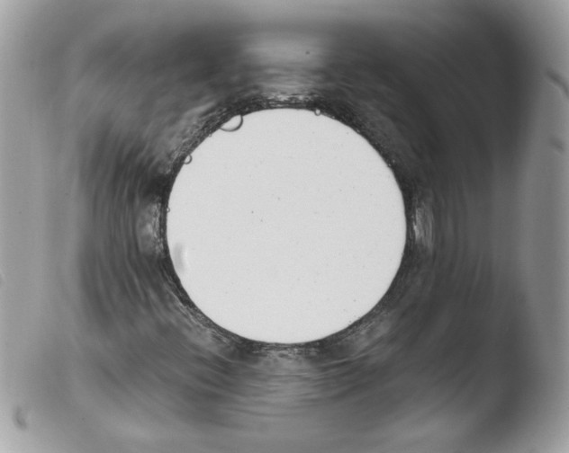 X0000103941396200810171804