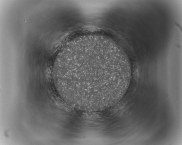 X0000103941397200810171804