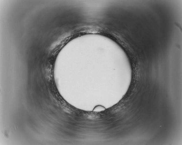 X0000103941399200810171804