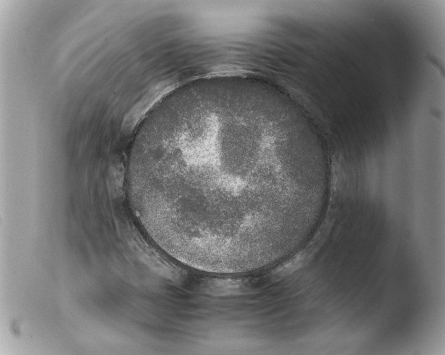 X0000103941401200810171804