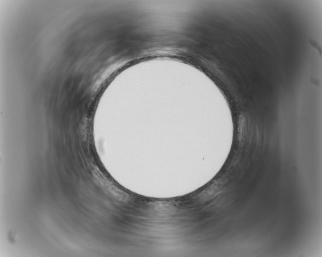 X0000103941404200810171804