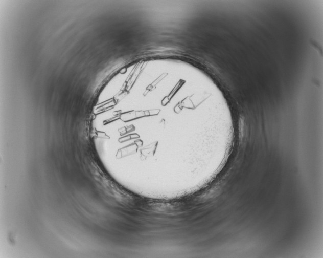 X0000103941405200810171804