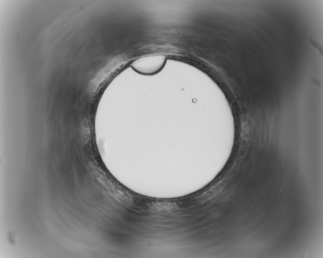 X0000103941407200810171804