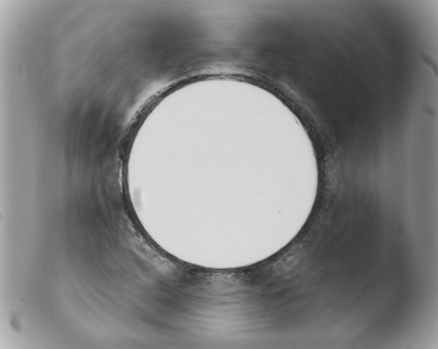 X0000103941408200810171804