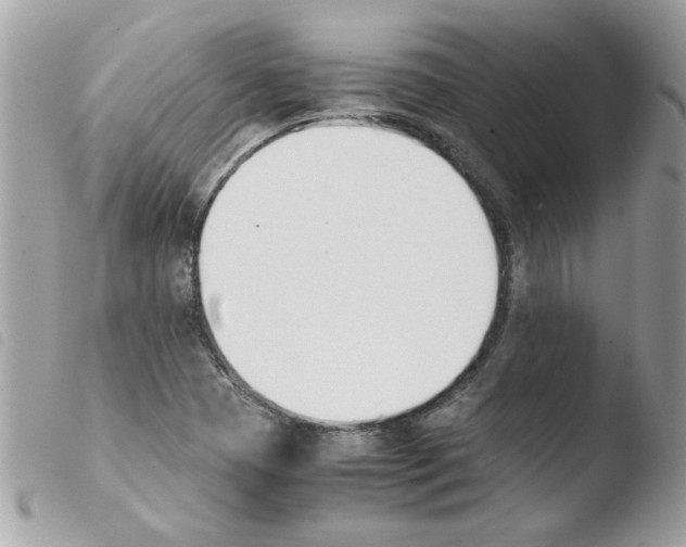 X0000103941409200810171804