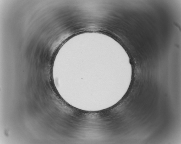 X0000103941410200810171804