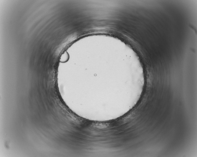 X0000103941411200810171804