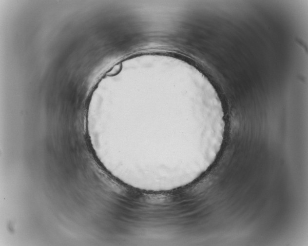 X0000103941413200810171804