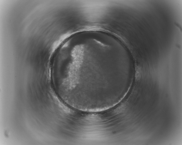 X0000103941414200810171804