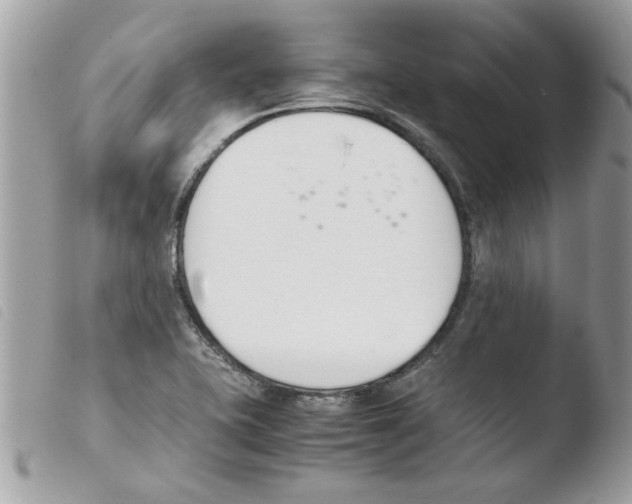 X0000103941415200810171804