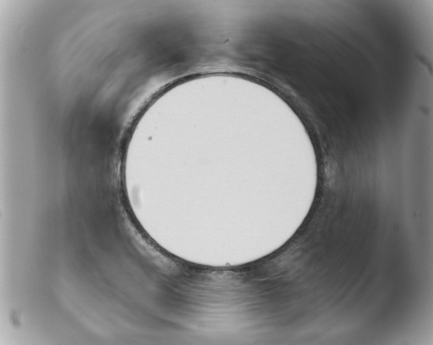 X0000103941416200810171804